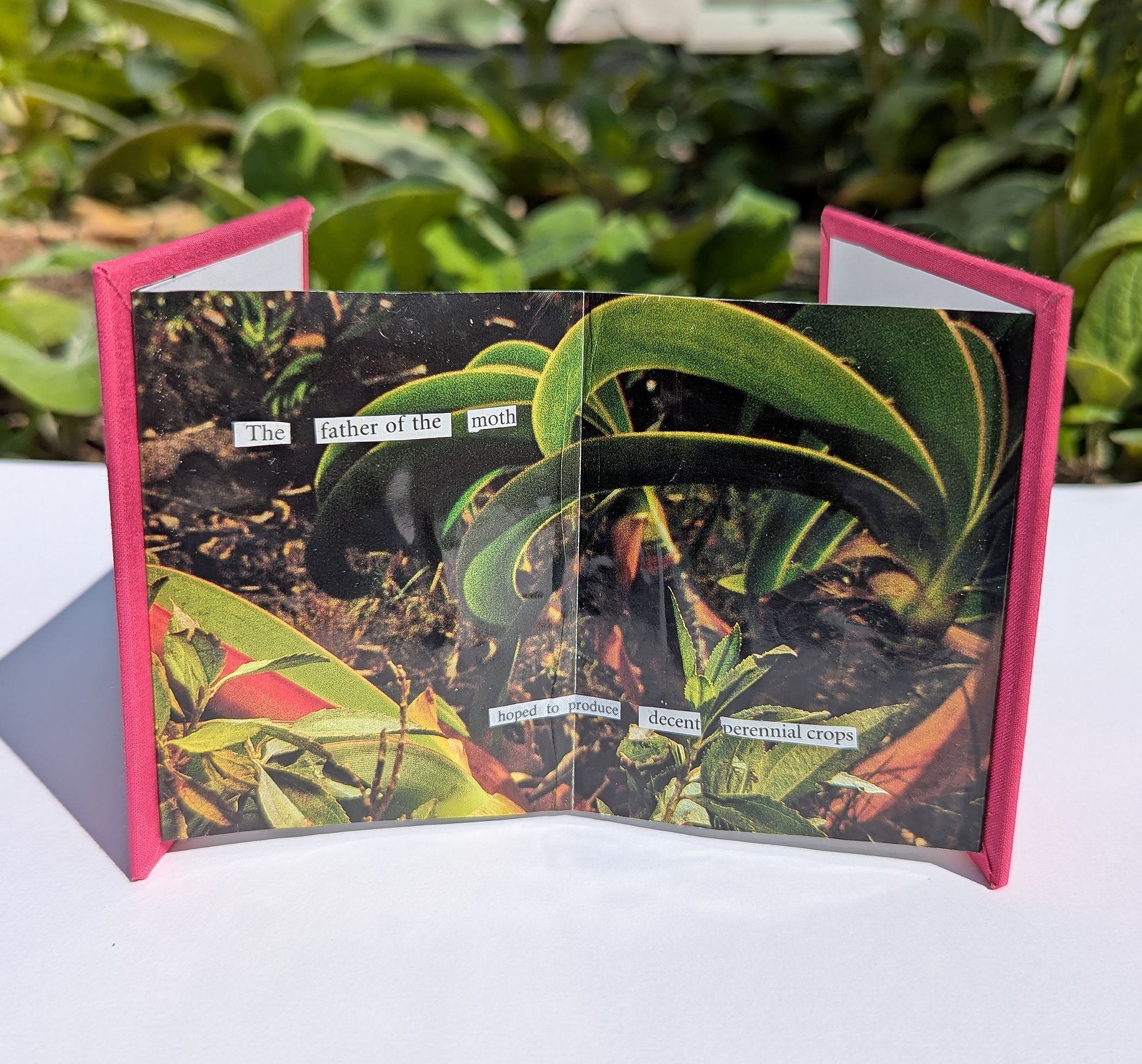 concertina book