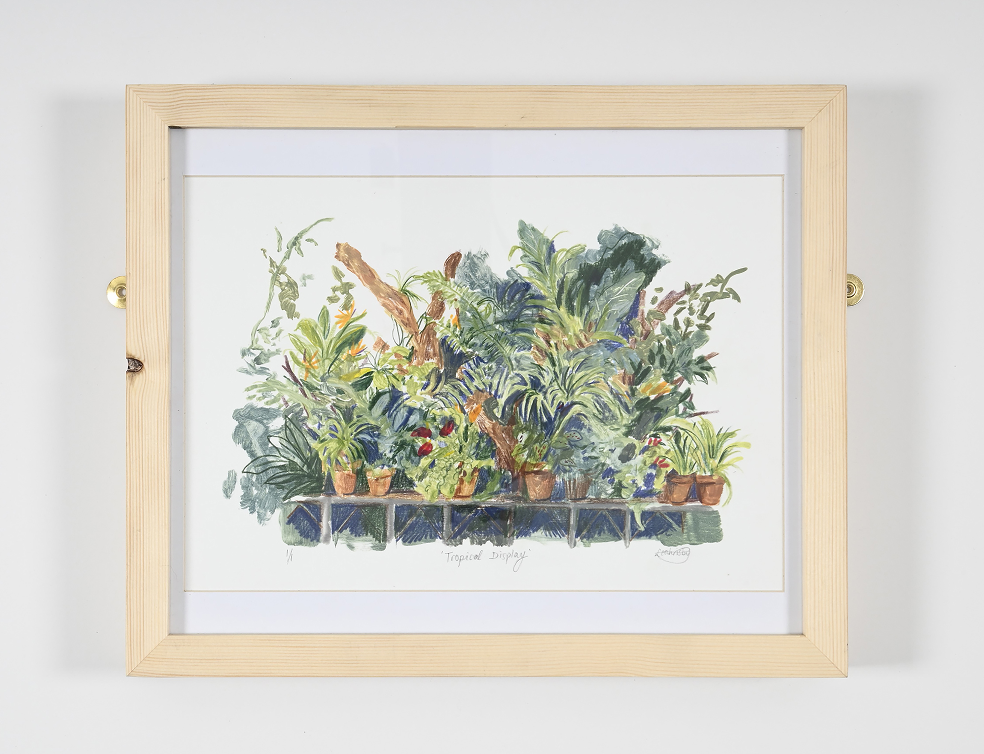 drawing of a colourful display of plants
